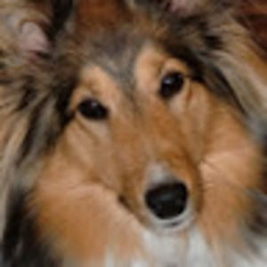 Meet your Posher, Juliana